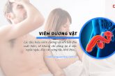 Viêm dương vật: Dấu hiệu và Phương pháp điều trị