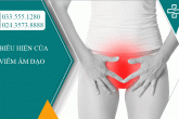 Biểu hiện của viêm âm đạo là gì? Nhận biết qua 6 triệu chứng điển hình sau