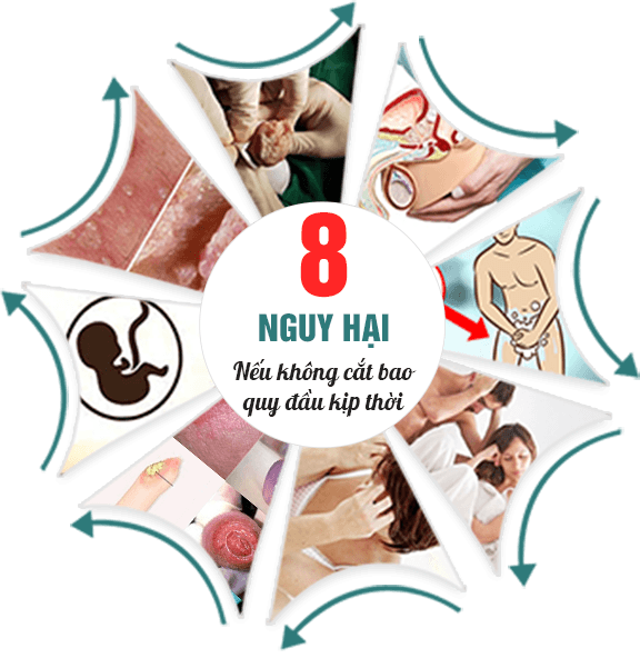 can-tro-su-phat-trien-cua-duong-vat