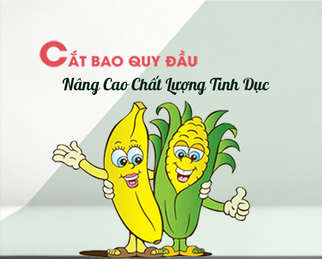 cat-bao-quy-dau
