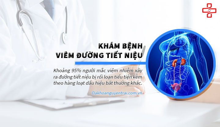 Bị viêm đường tiết niệu nên khám ở đâu tại Hà Nội?